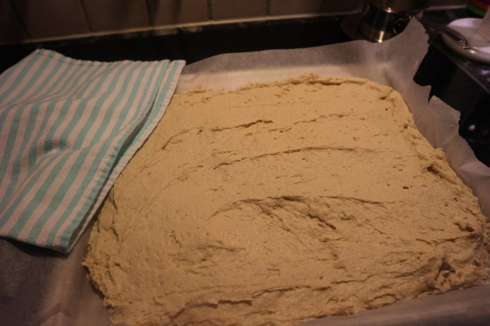 20170331183937_IMG_0216