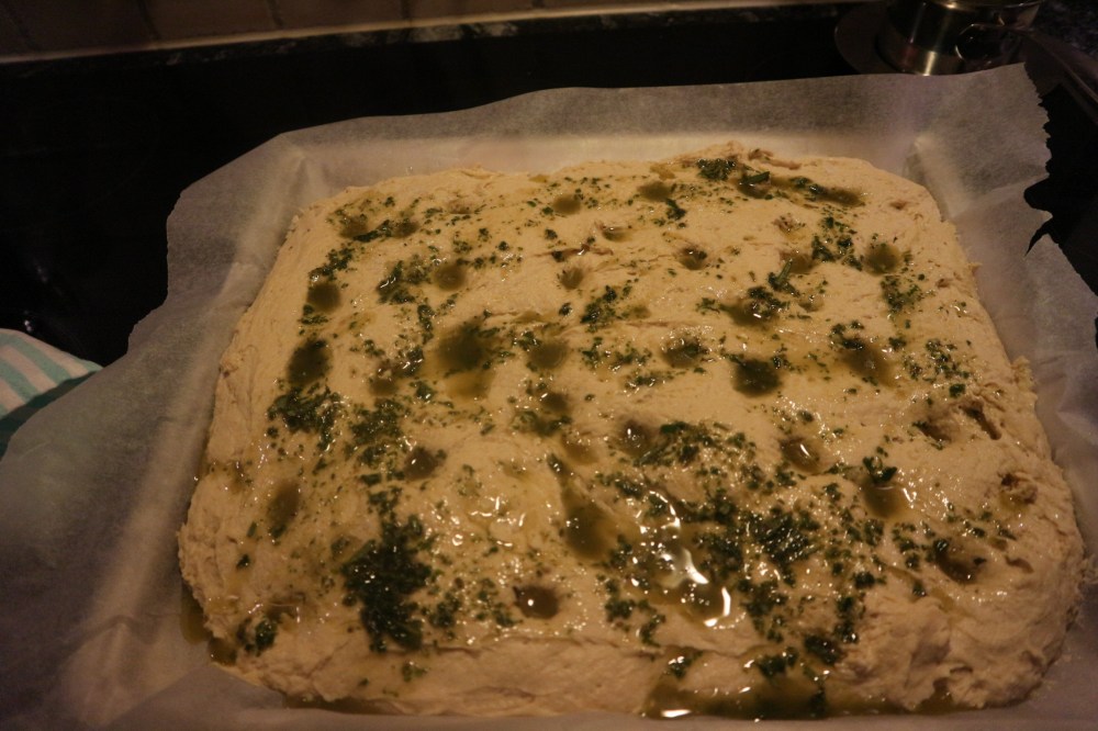 20170331193034_IMG_0217