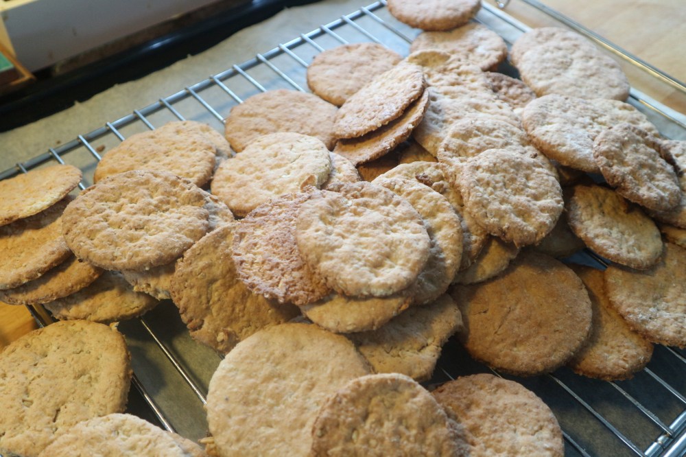 20170402091700_IMG_0229