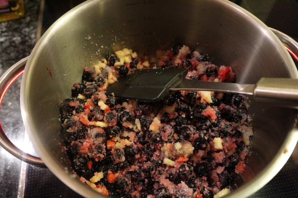 20170419202813_IMG_0314